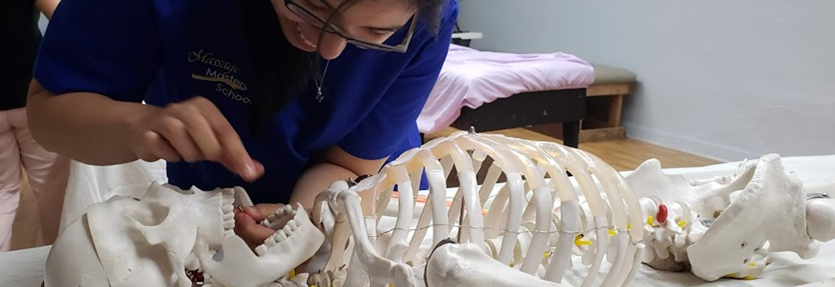 Massage therapy student practicing anatomy and hands-on technique at Massage Masters School in McAllen, TX